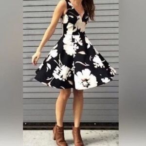 MAEVE Anthropologie Amory Floral Fit Flare Dress Black Cream 8 V-Neck Cocktail